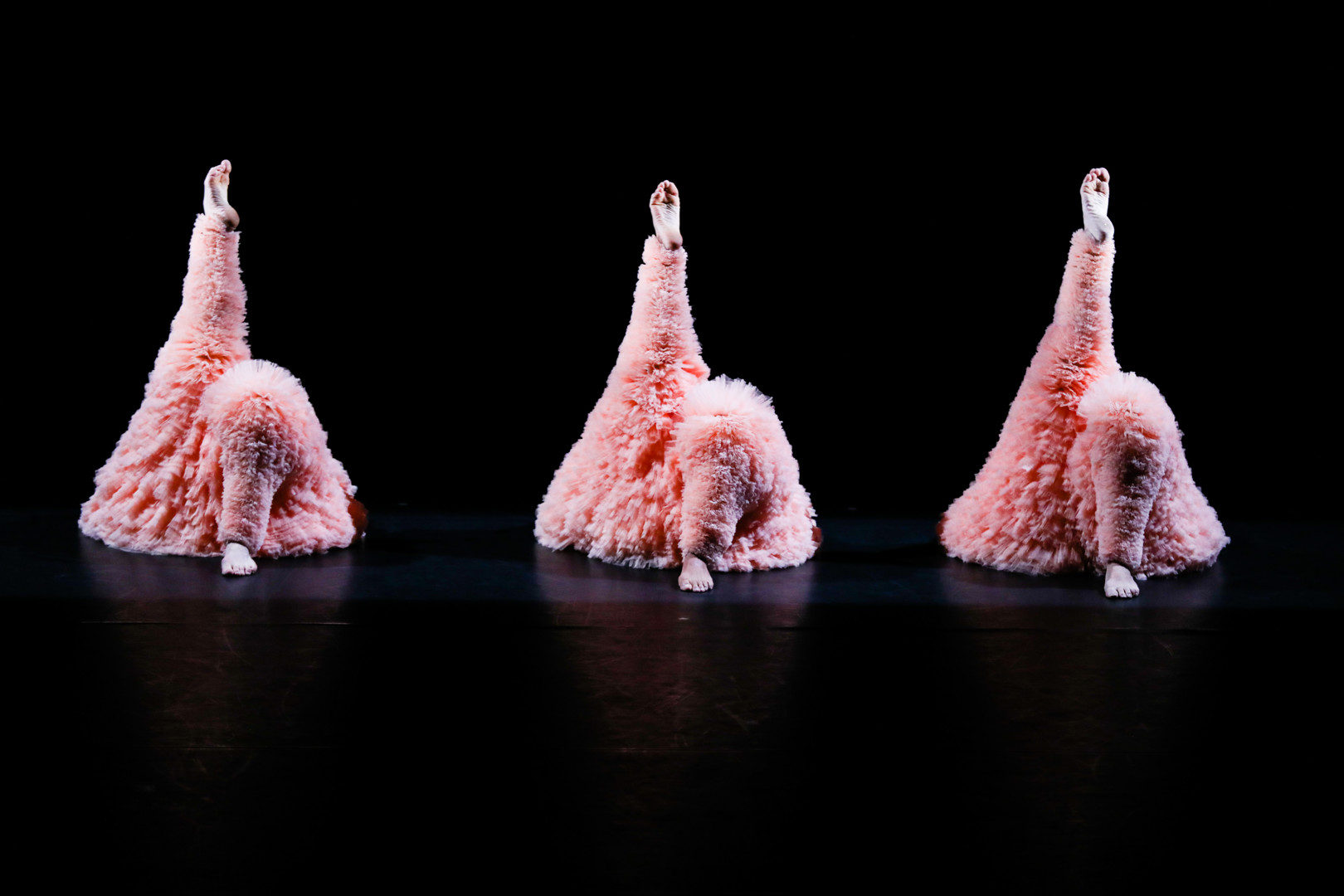 9G1A0270 Michel Cavalca