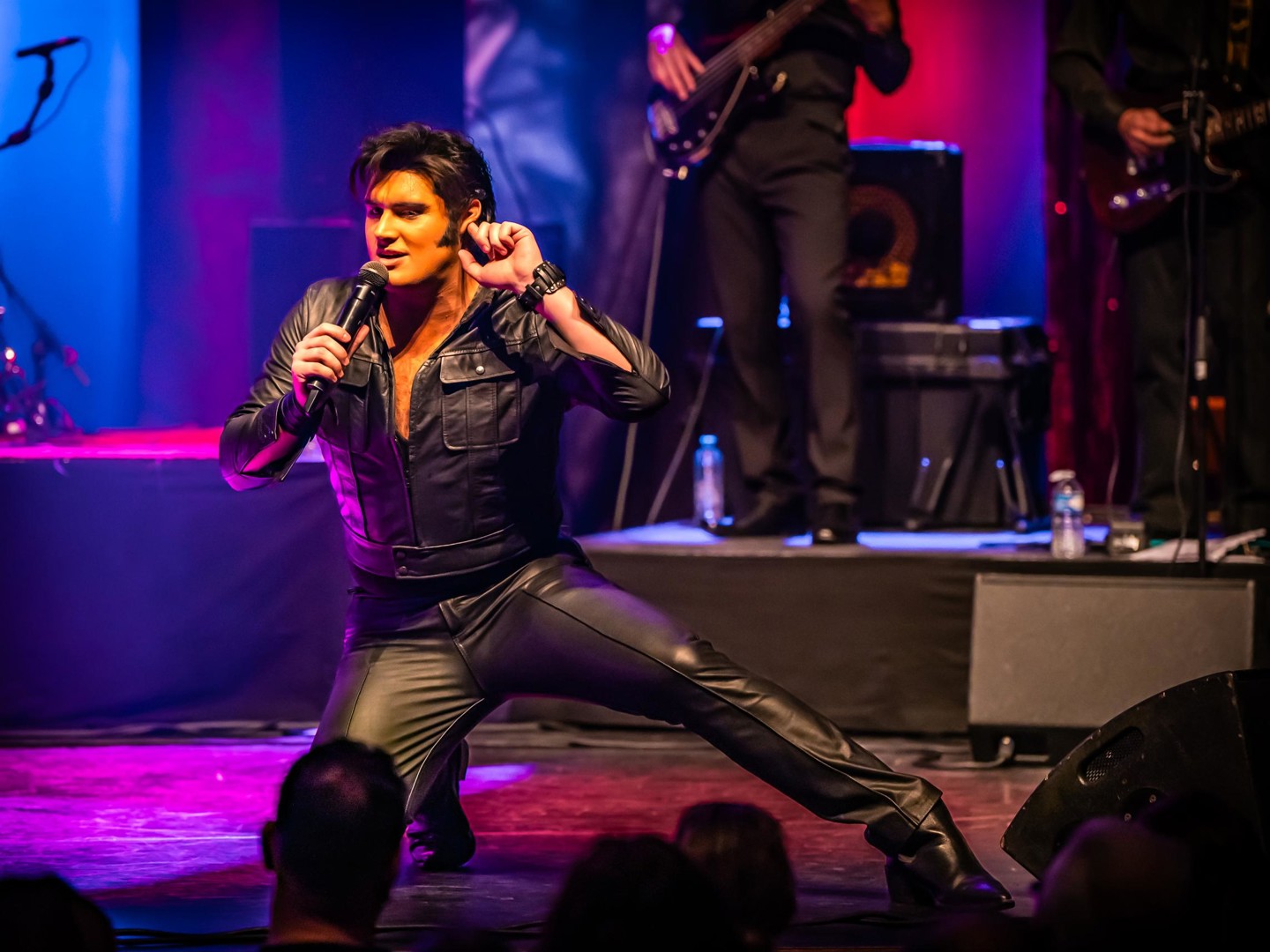 Elvis The Wonderful World Of Christmas (C) Carla Gorter Fotografie (3)