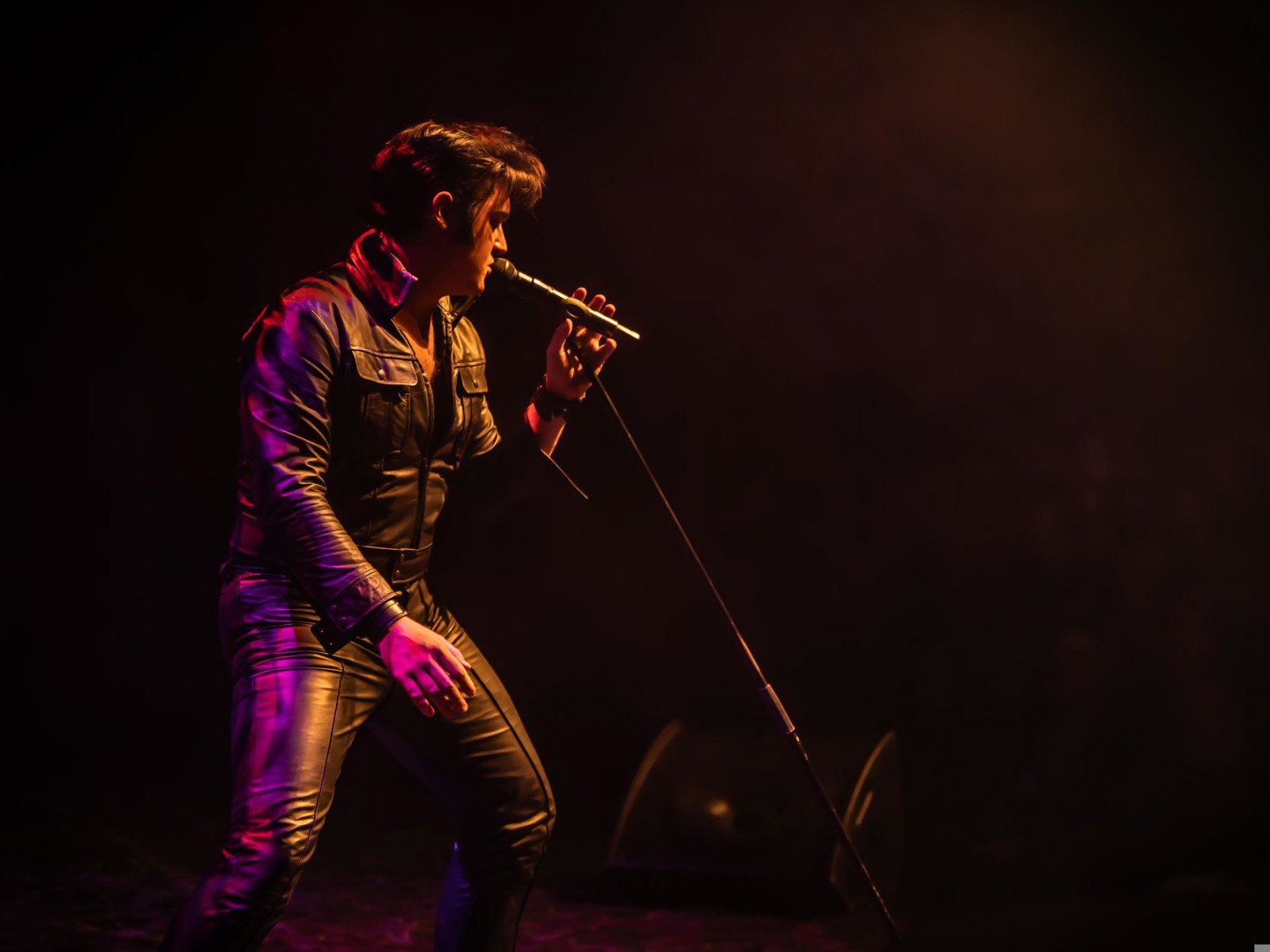 Elvis The Wonderful World Of Christmas (C) Carla Gorter Fotografie (2)