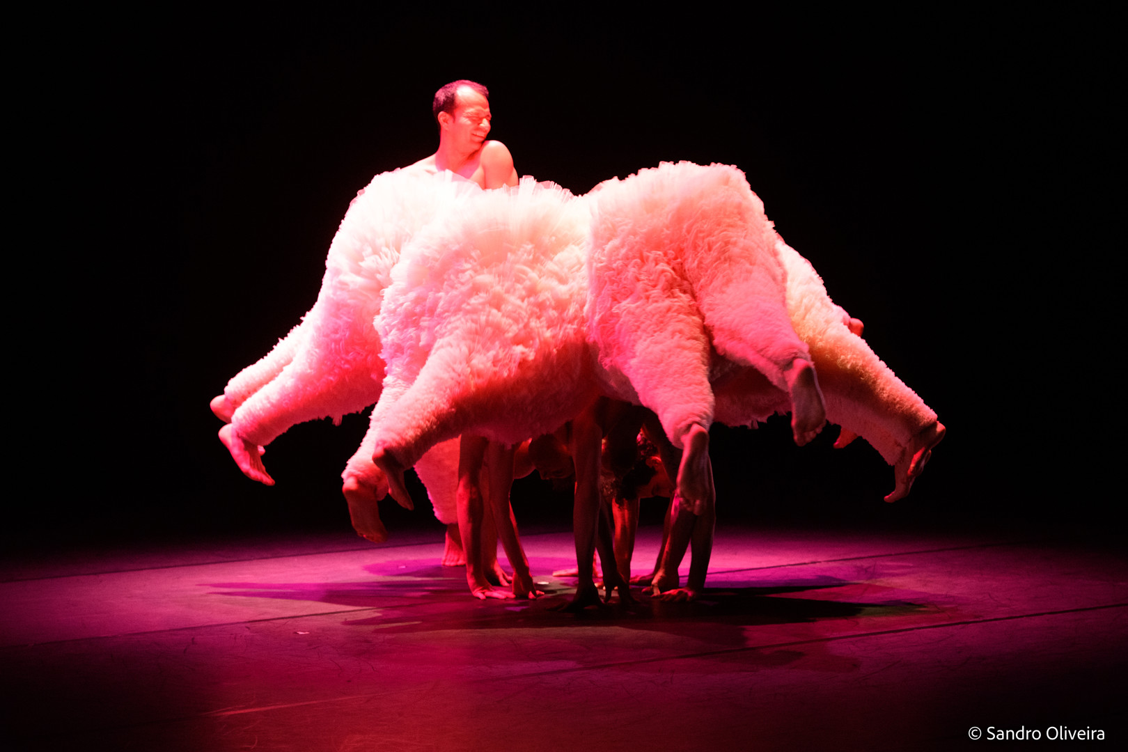 FLE3123 Sandro Oliveira